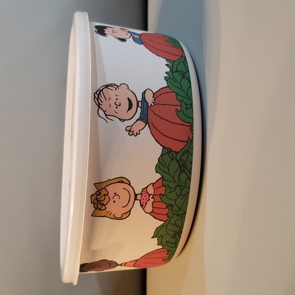 Peanuts character great pumpkin bamboo fibre bowl with lid NWT - Picture 1 of 6